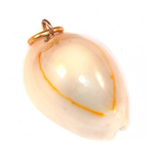 coquillage nacre
